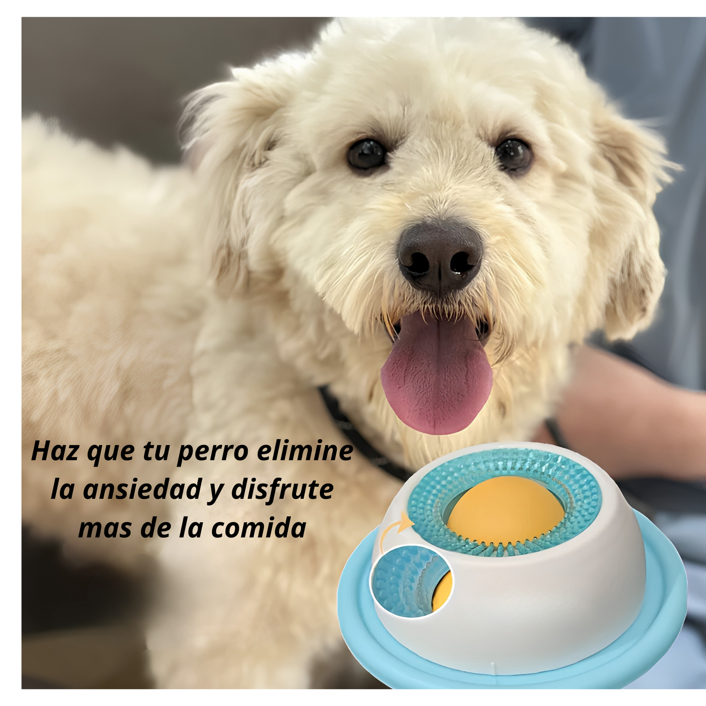 Cuenco antiestres para perros y gatos