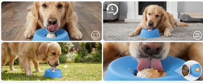 Cuenco antiestres para perros y gatos