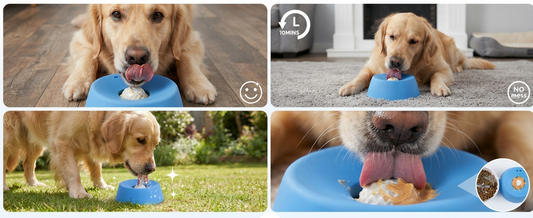 Cuenco antiestres para perros y gatos